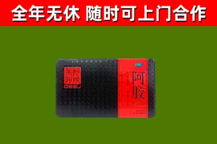 昭阳回收阿胶